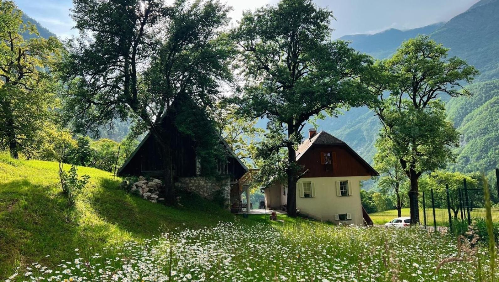 Apartments Mala Korita Soce Soča Exterior foto